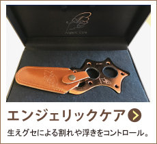 PLUS Cure(�v���X�L���A)�̃G���W�F���b�N�P�A