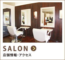 PLUS Cure(�v���X�L���A)�̃T����